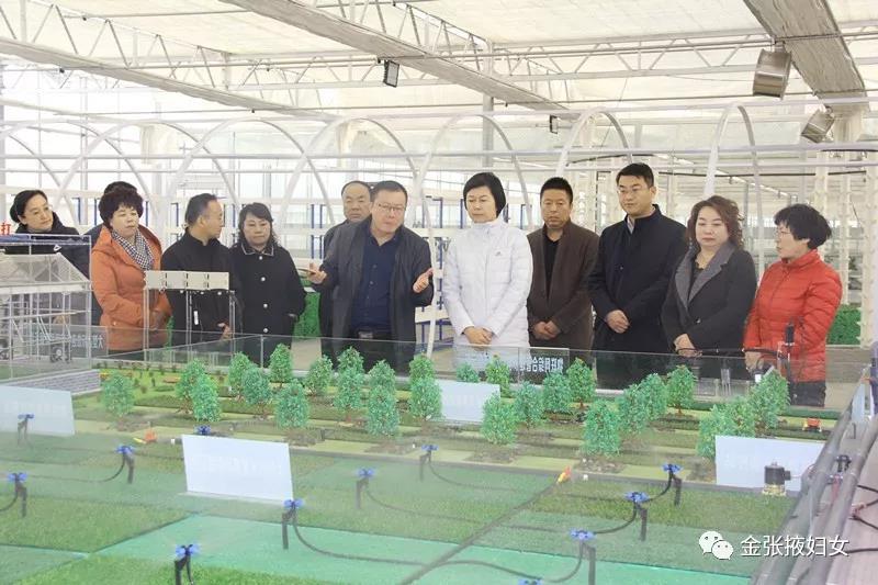 1574300575622981.jpg 微信图片_20191121093343.jpg