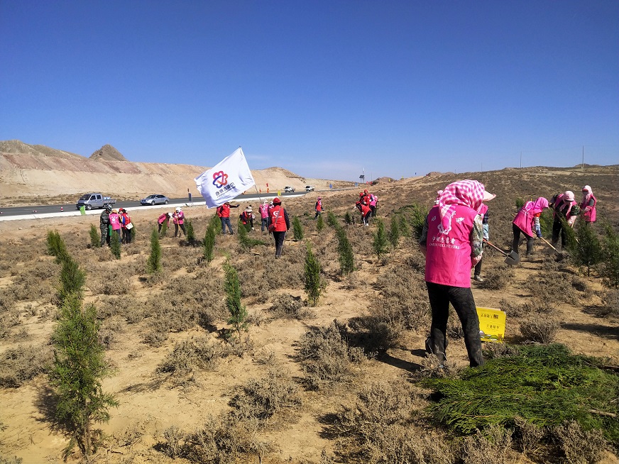 1578990517724031.jpg 4.jpg