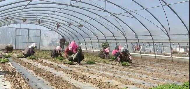 1584089125788970.jpg 微信图片_20200313155533.jpg