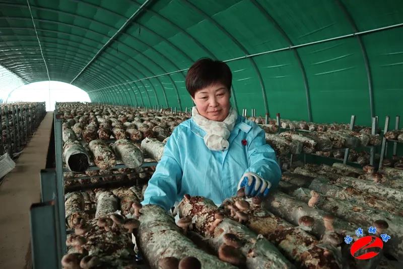 1584089186831909.jpg 微信图片_20200313155547.jpg