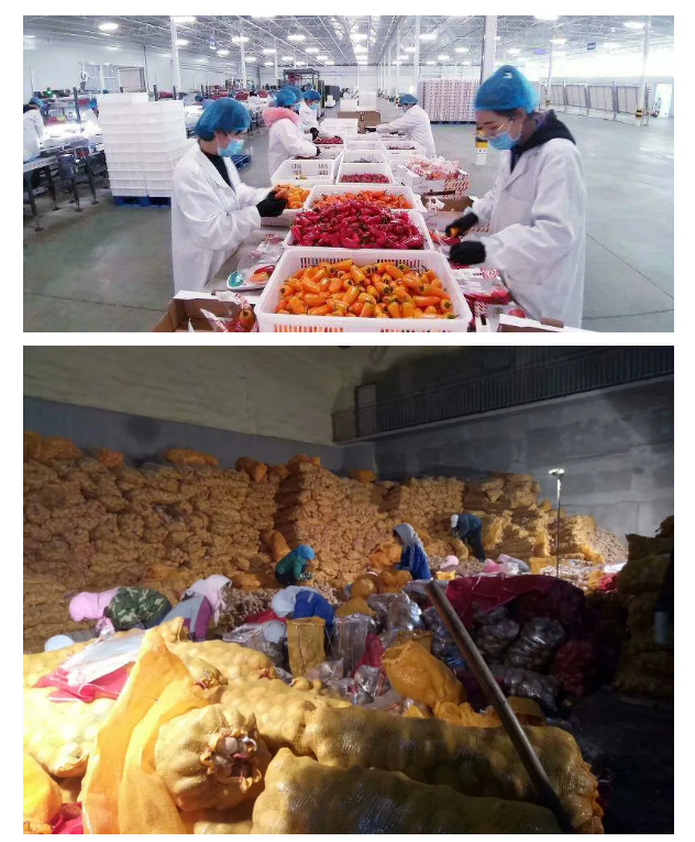 1584089301337967.png 48O6G(5Y9W{}RN)67[_D6KG.png