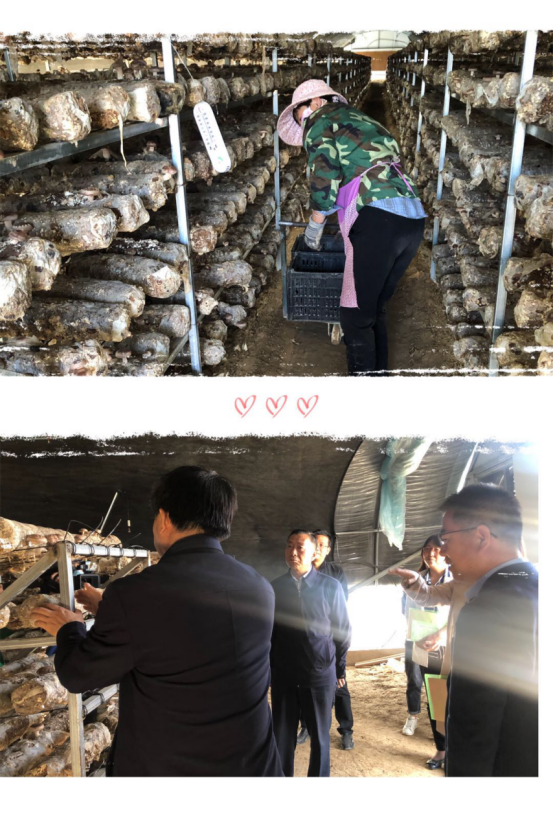 1589454982836382.png 9QDG