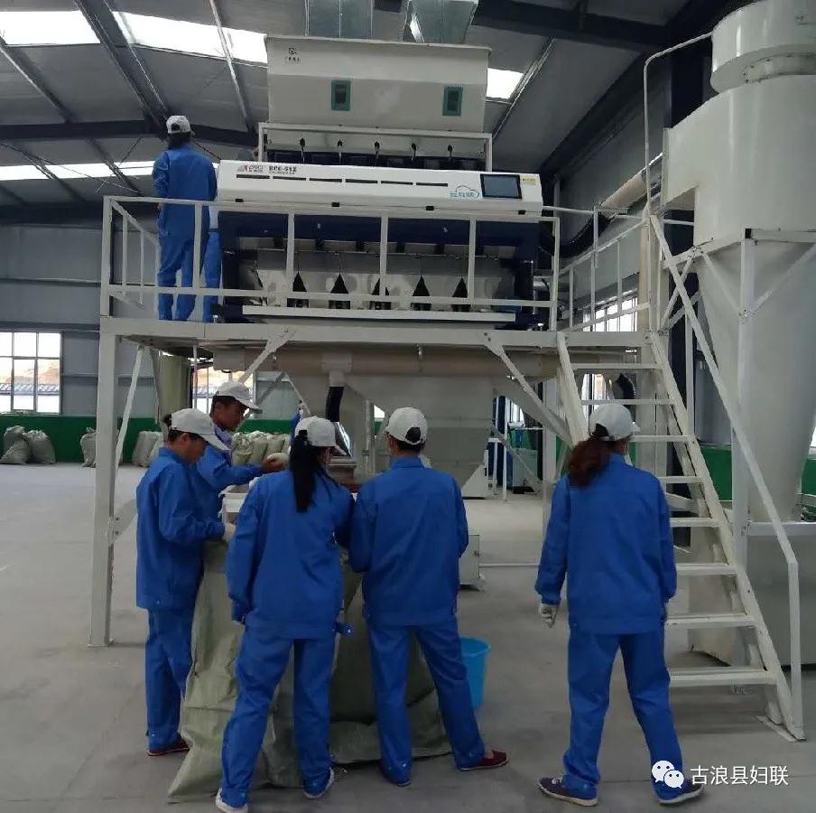 1594725250625611.jpg 微信图片_20200714191219.jpg