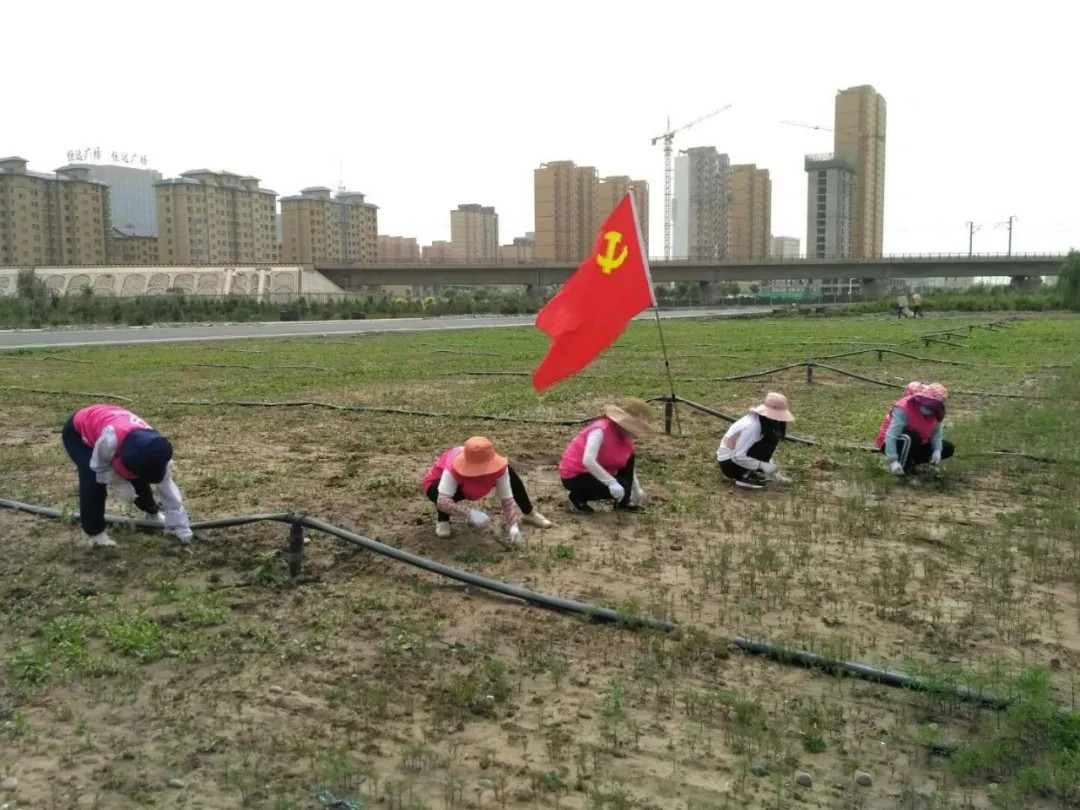 图6.jpg
