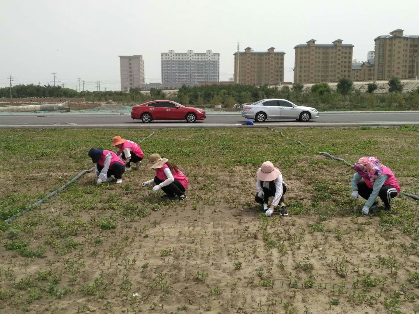 图4.jpg