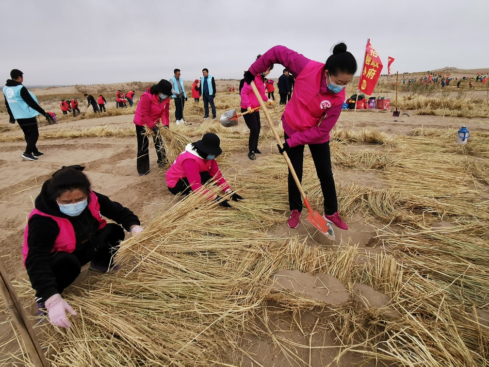 1602647762134135.jpg IMG_20201013_110107.jpg