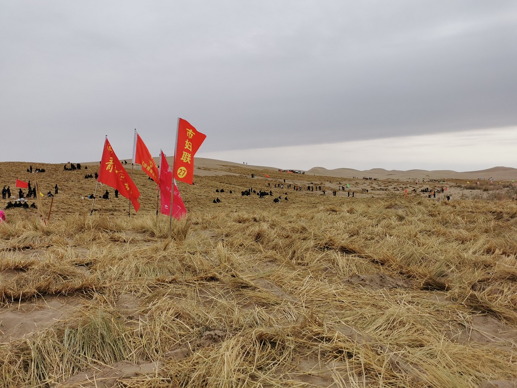 1602647807920678.jpg IMG_20201013_130236.jpg