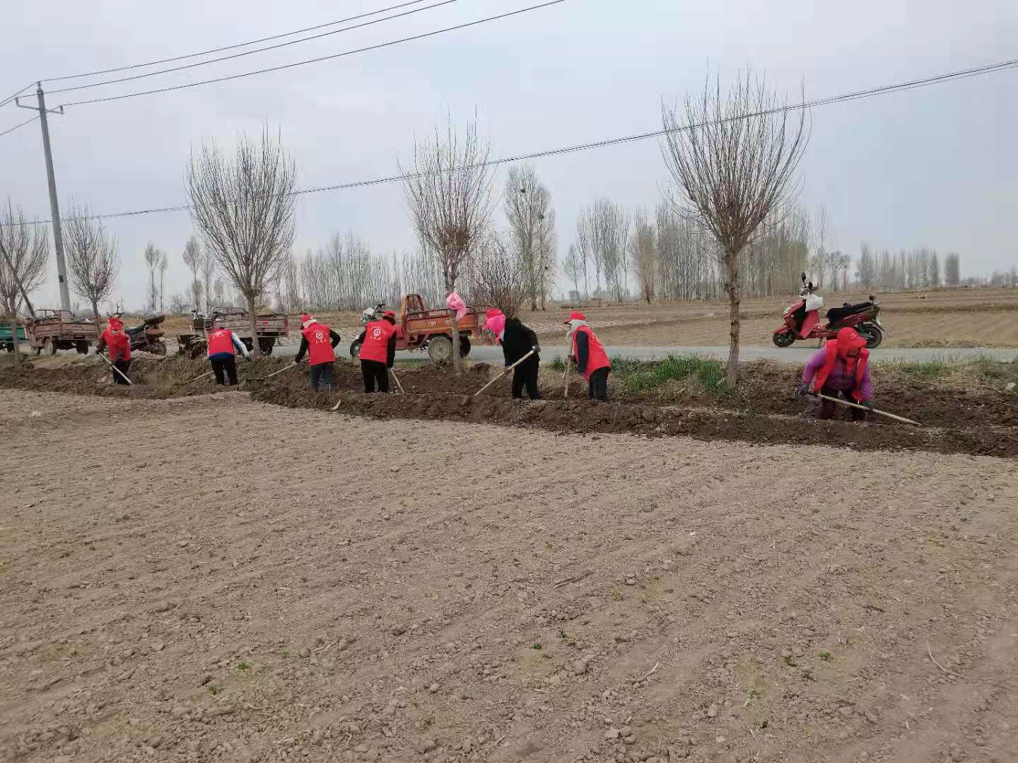 1618195400936278.jpg mmexport1618191405298.jpg