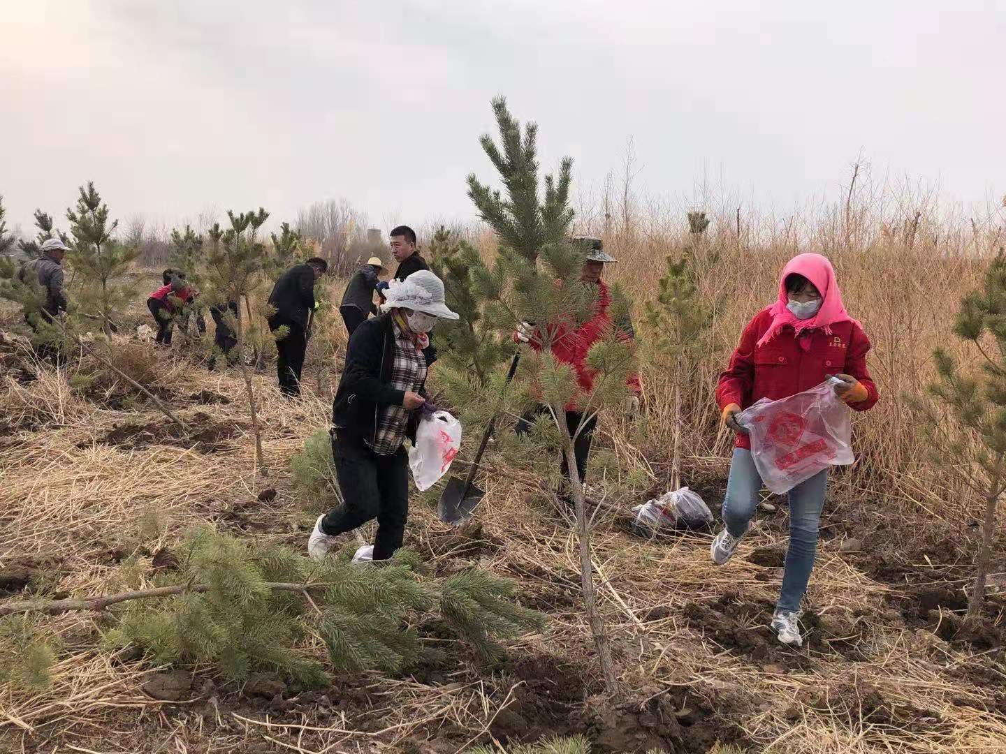 1618215169566706.jpg IMG_9517(20210412-160803).JPG