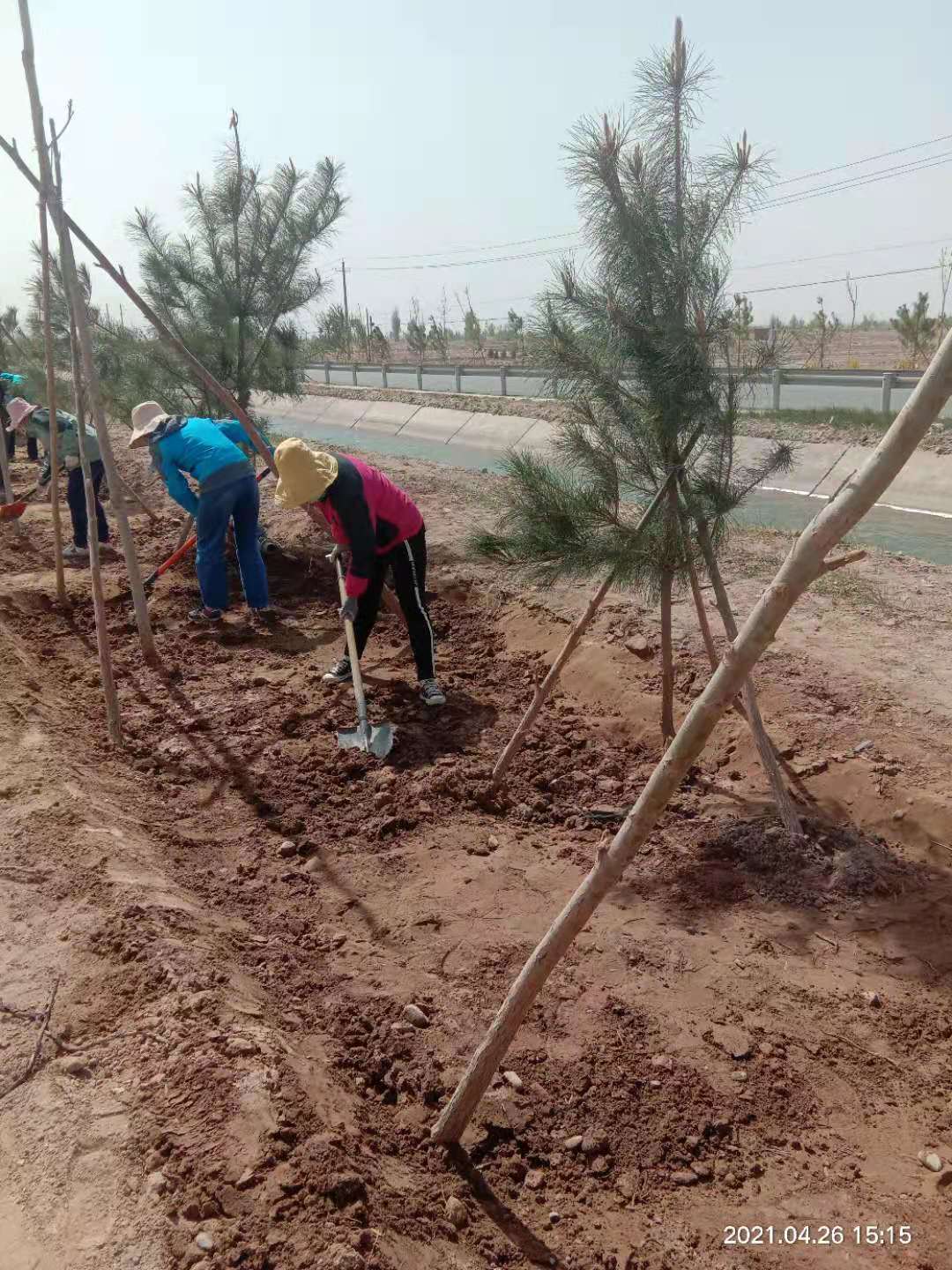 1619507120929569.jpg 4.26.1.jpg