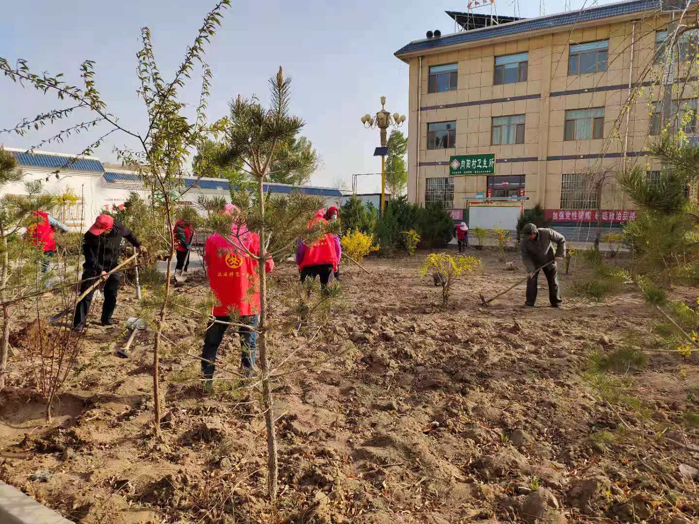 1620379447295510.jpg 5.jpg