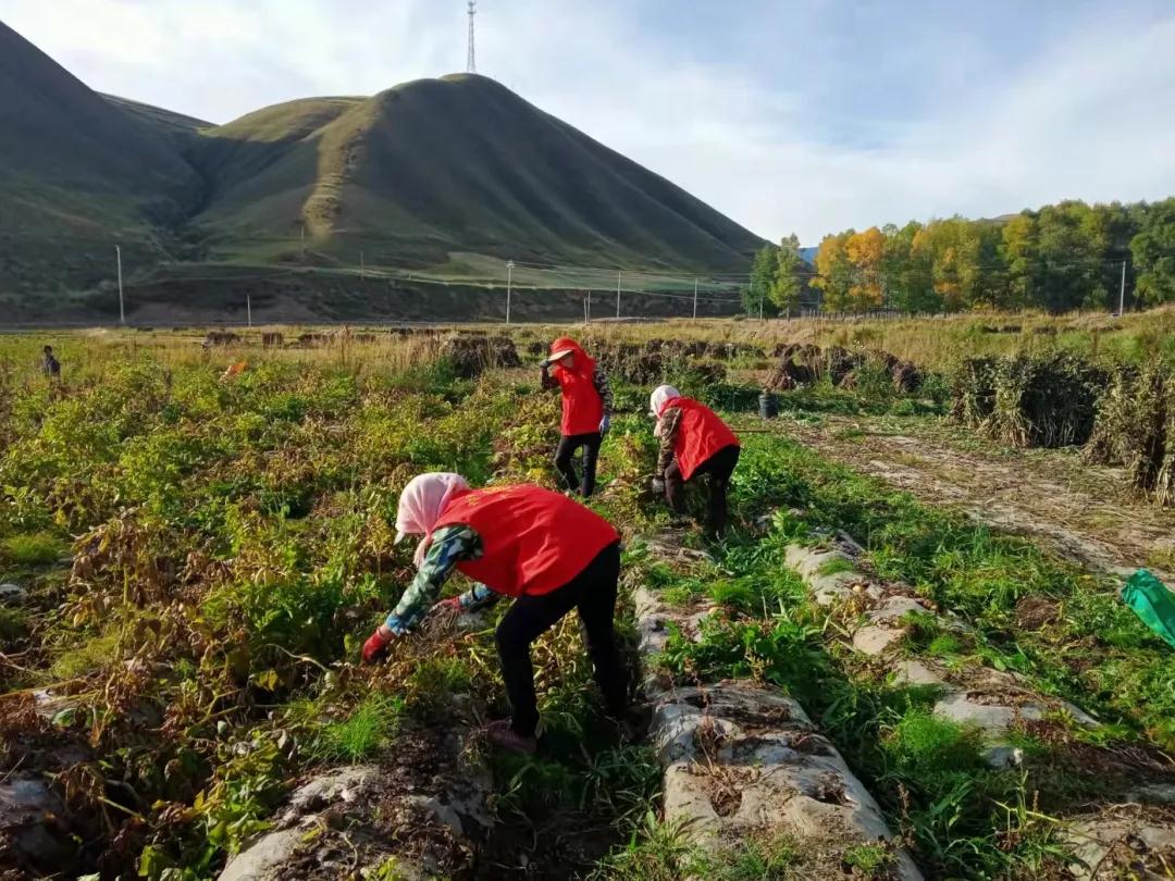 1632878706947911.jpg 微信图片_20210929092409.jpg