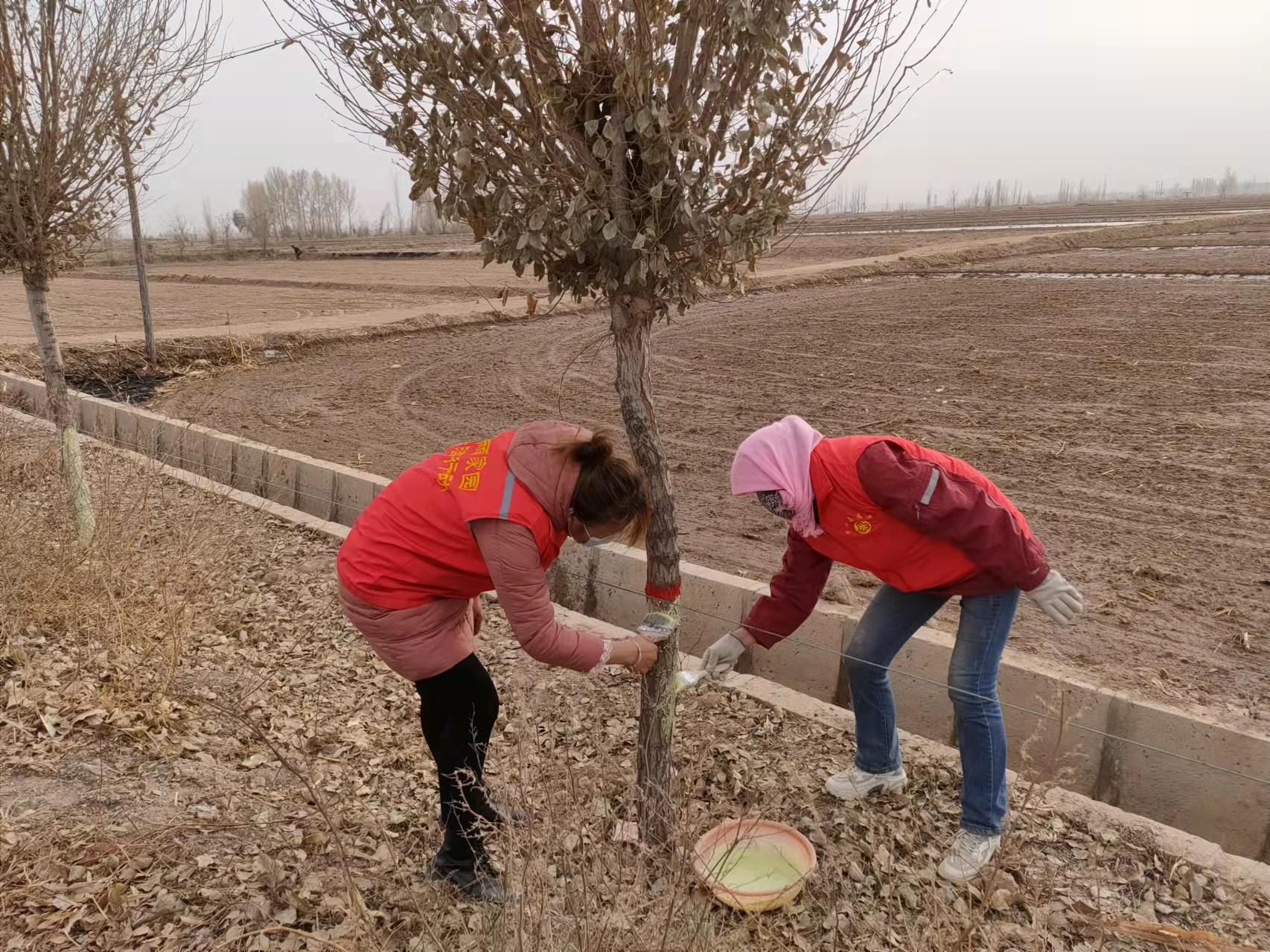 1637556839285148.jpg lADPJwY7QnnGeWXNBP_NBqo_1706_1279.jpg