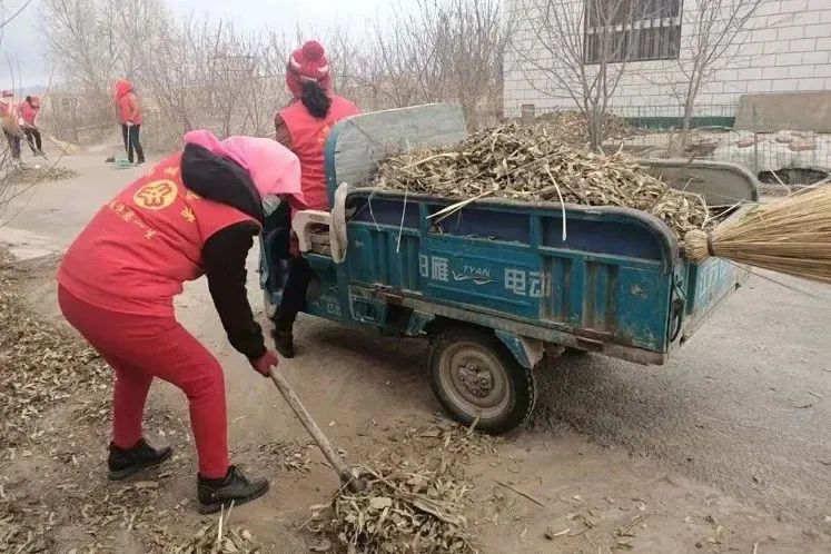 1639447771508711.jpg 环境卫生整治1.jpg