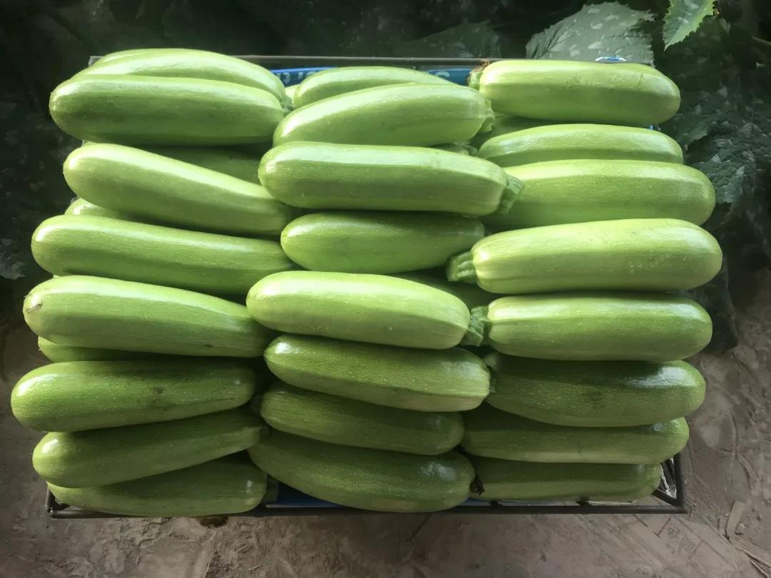 1640831423620137.jpg 微信图片_20211230102534.jpg