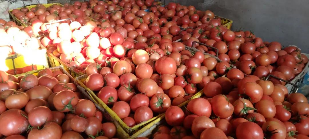 1640831439665840.jpg 微信图片_20211230102546.jpg