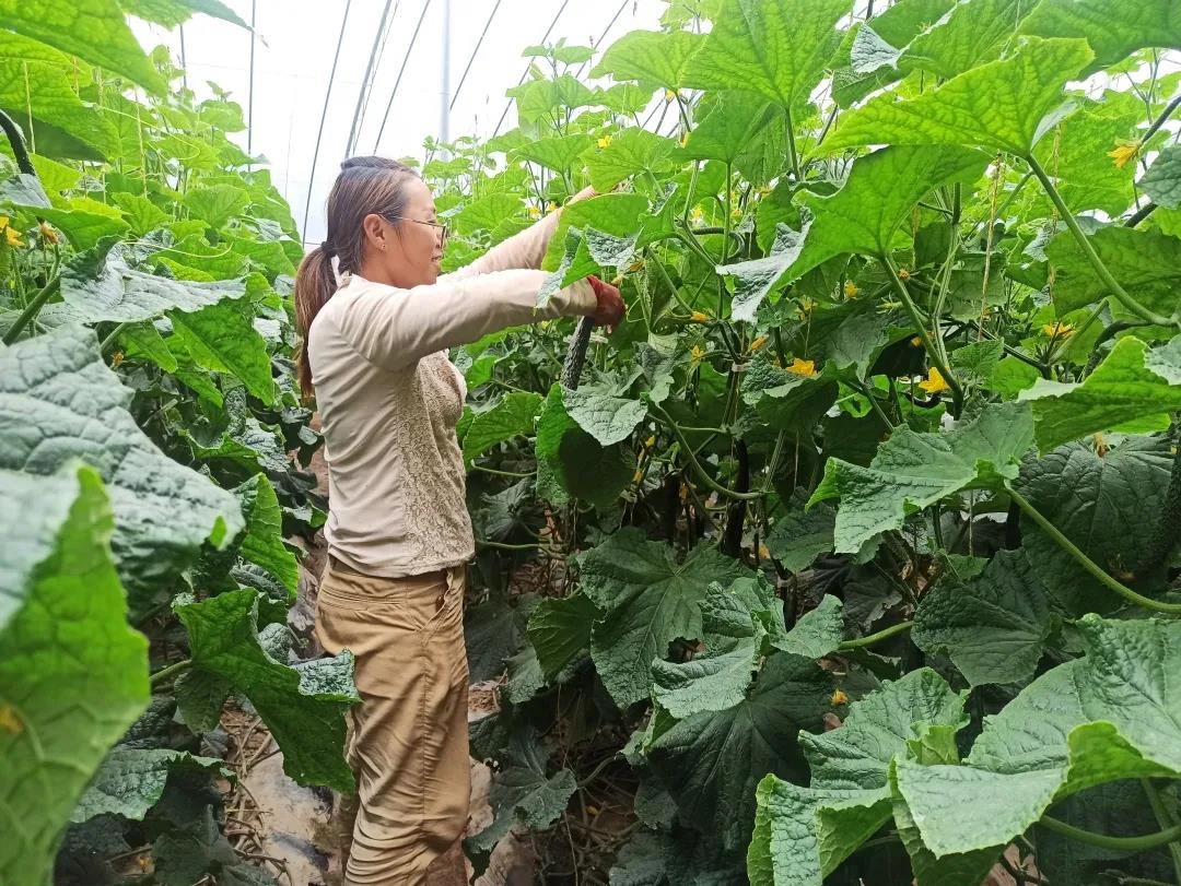 1640831457583730.jpg 微信图片_20211230102549.jpg