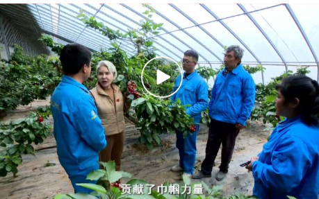 短视频 | 喜迎妇代会——巾帼风采录篇