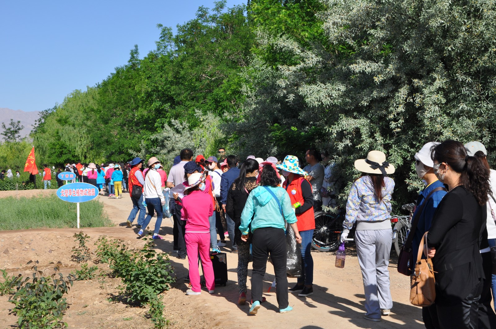 DSC_0186.JPG DSC_0186.JPG