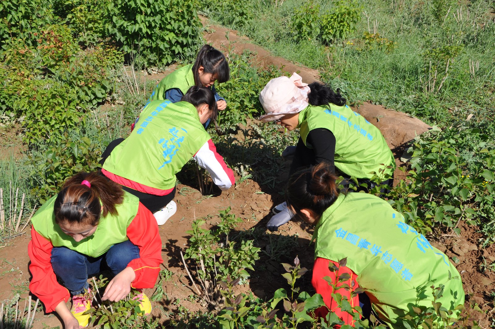 DSC_0241.JPG DSC_0241.JPG