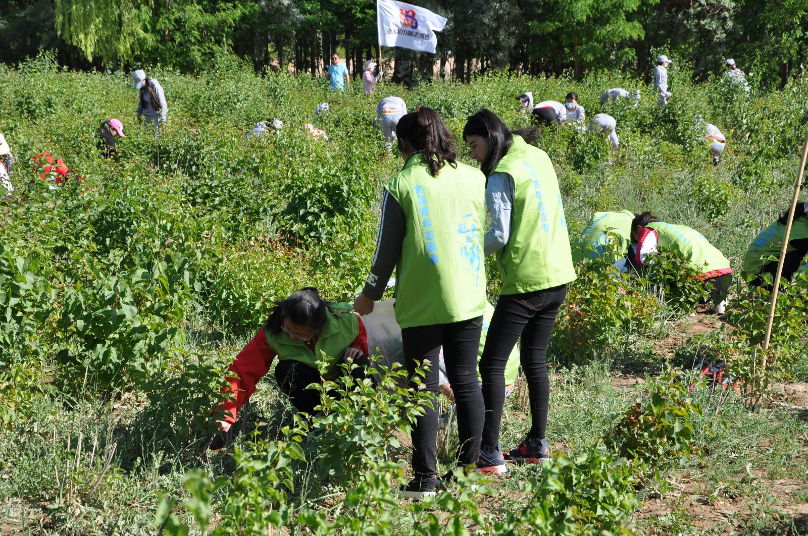 DSC_0244.JPG DSC_0244.JPG