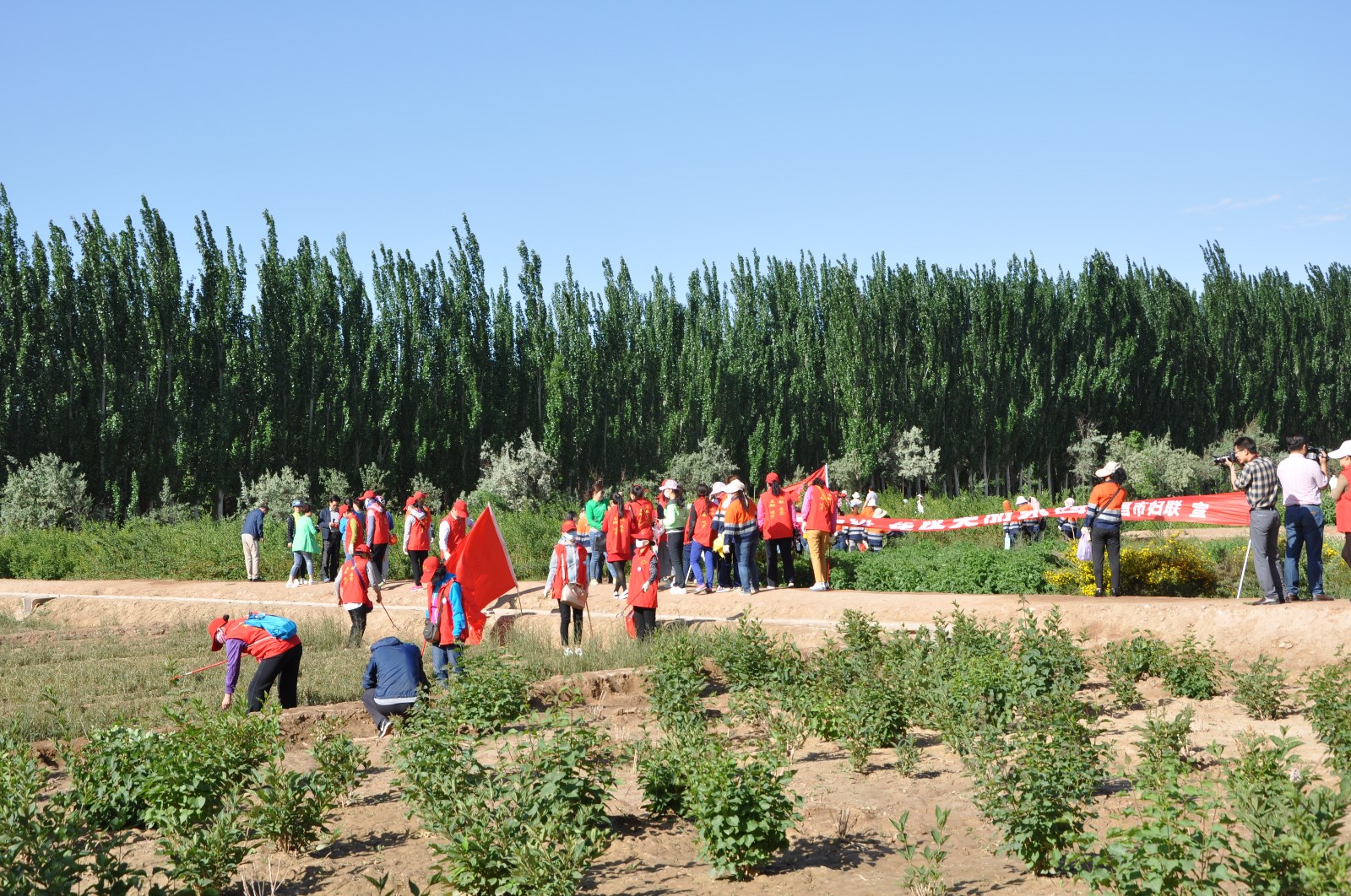 DSC_0178.JPG DSC_0178.JPG