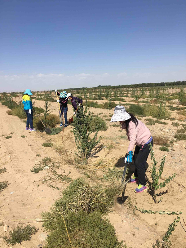 QQ图片20160922101623.jpg QQ图片20160922101623.jpg