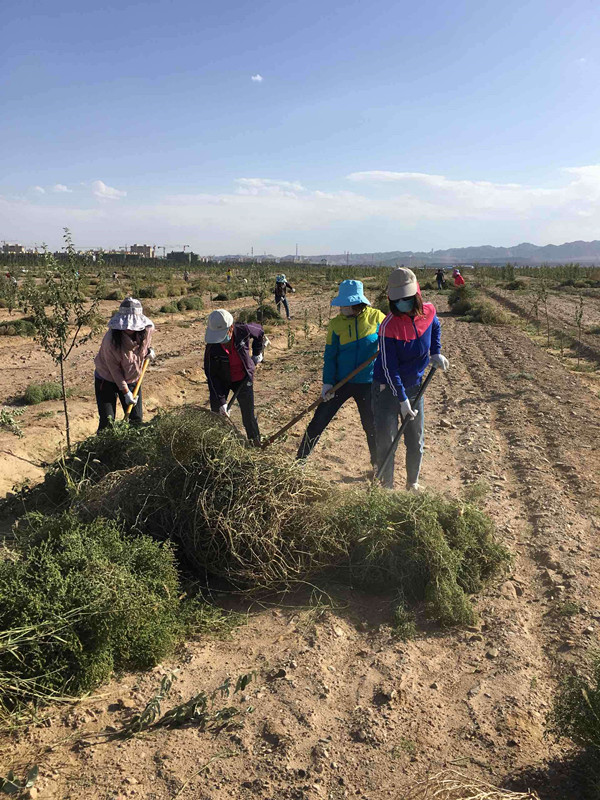 QQ图片20160922101428.jpg QQ图片20160922101428.jpg