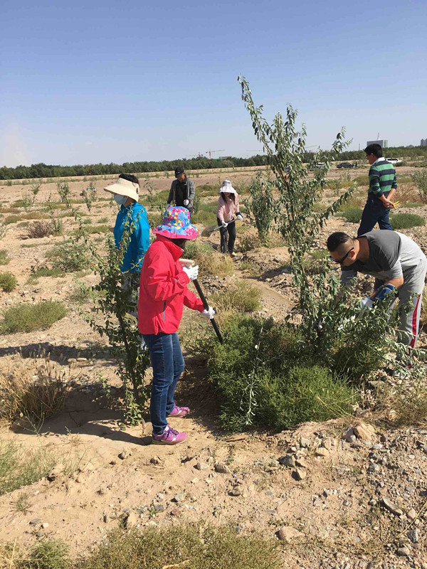 QQ图片20160922101321.jpg QQ图片20160922101321.jpg