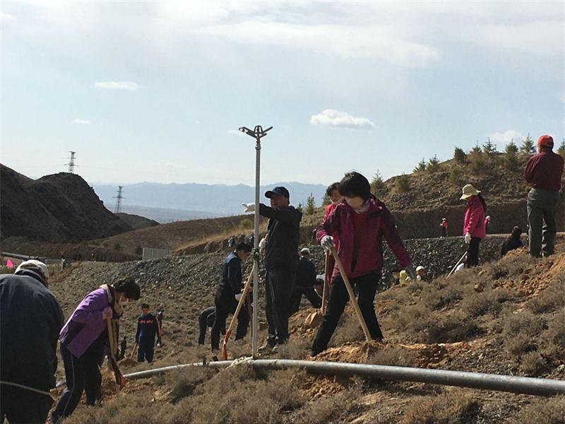 图片1.jpg 图片1.jpg