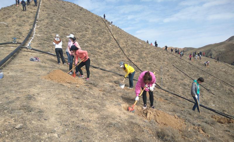 图片2.jpg 图片2.jpg