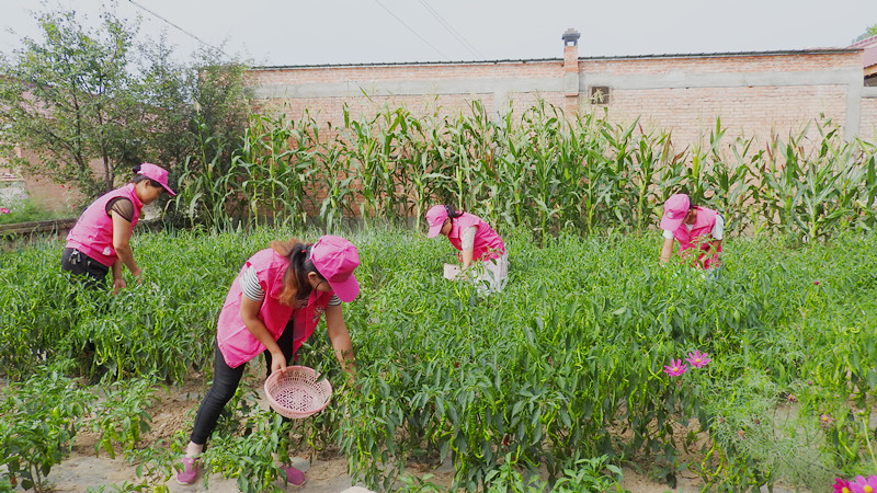 1meg7cqe0l.jpg 1meg7cqe0l.jpg