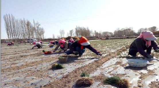 QQ图片20170405202829.jpg QQ图片20170405202829.jpg