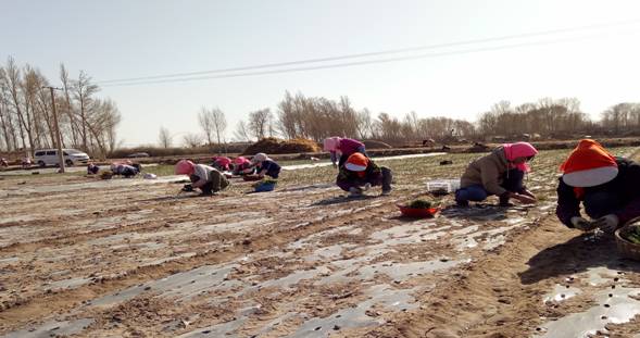 QQ图片20170405202801.jpg QQ图片20170405202801.jpg