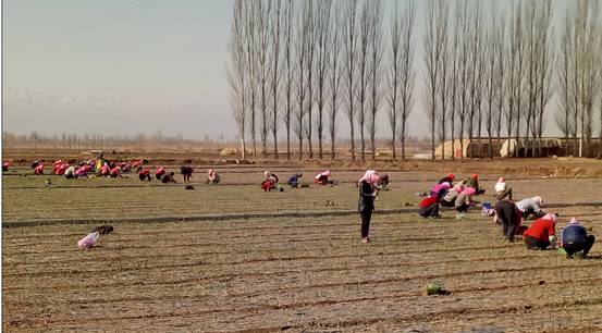 QQ图片20170405202854.jpg QQ图片20170405202854.jpg