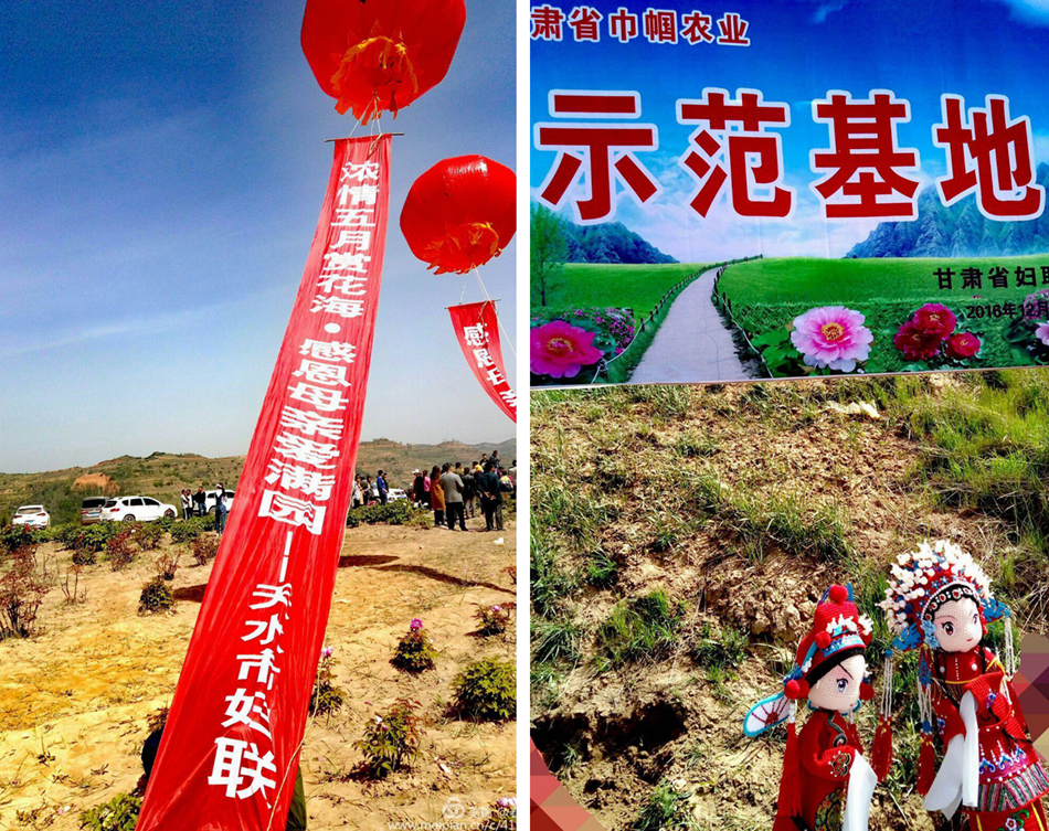 1705200004befd1b193eb23b29_副本.jpg 1705200004befd1b193eb23b29_副本.jpg