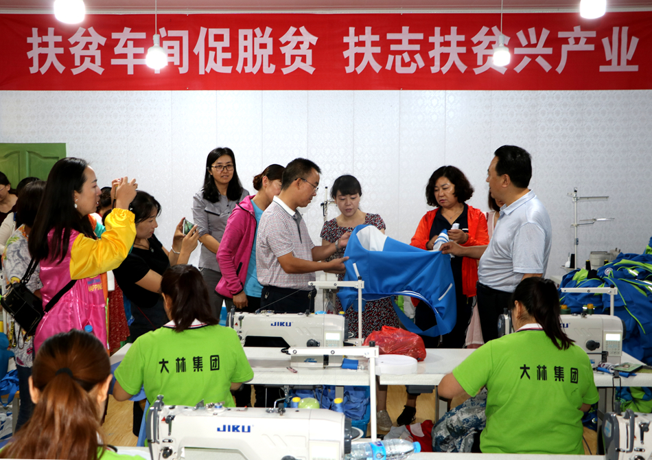 09 考察武山县巾帼扶贫车间 (8).jpg 09 考察武山县巾帼扶贫车间 (8).jpg