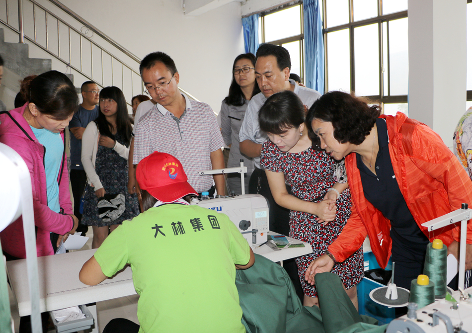 10 考察武山县巾帼扶贫车间 (15).jpg 10 考察武山县巾帼扶贫车间 (15).jpg