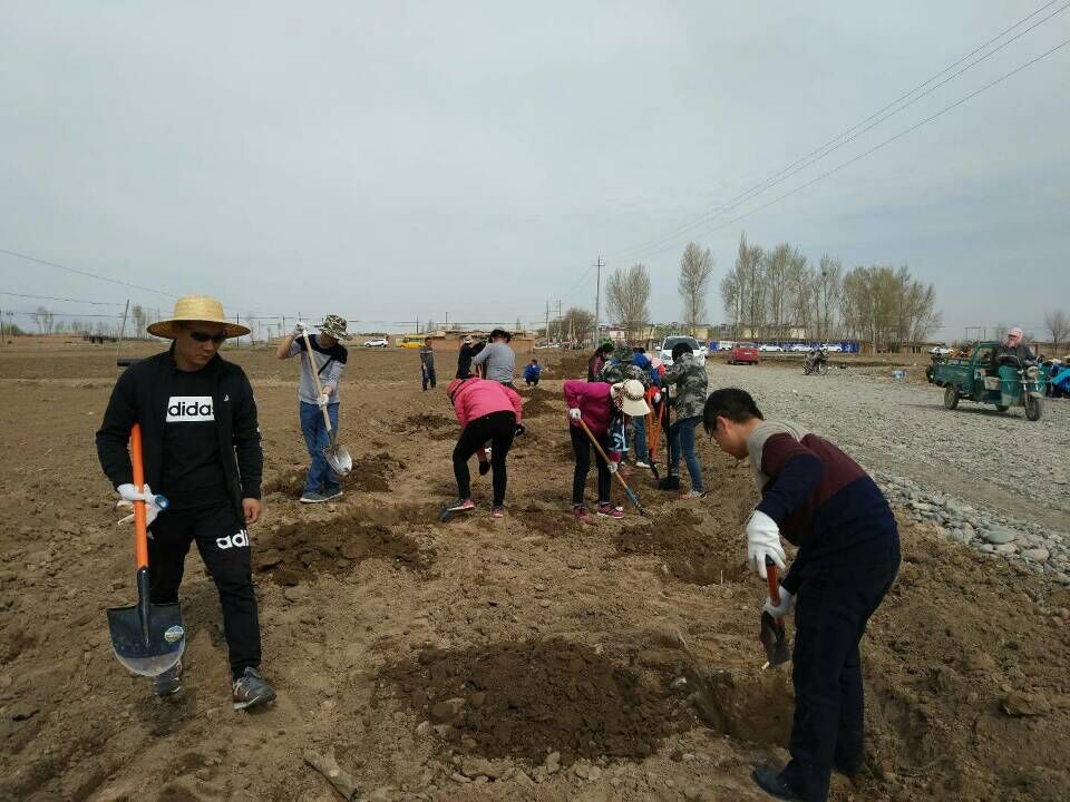 QQ图片20170425162701.jpg