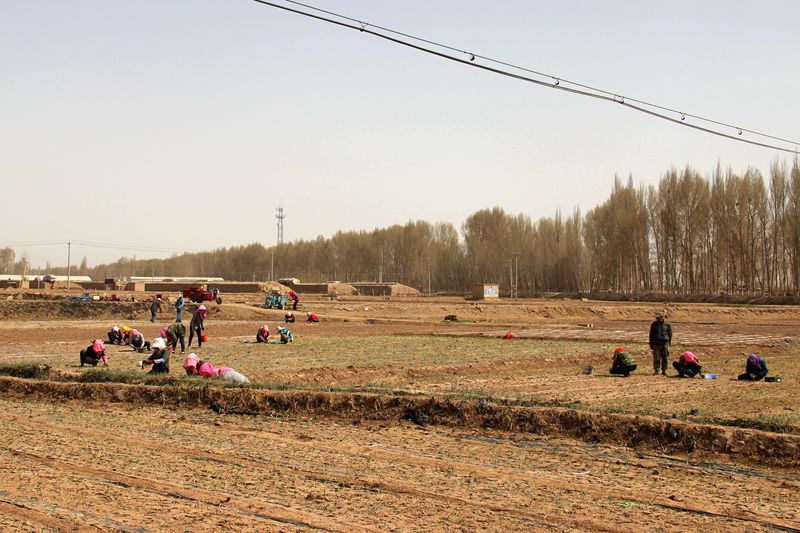 IMG_6956_副本.jpg