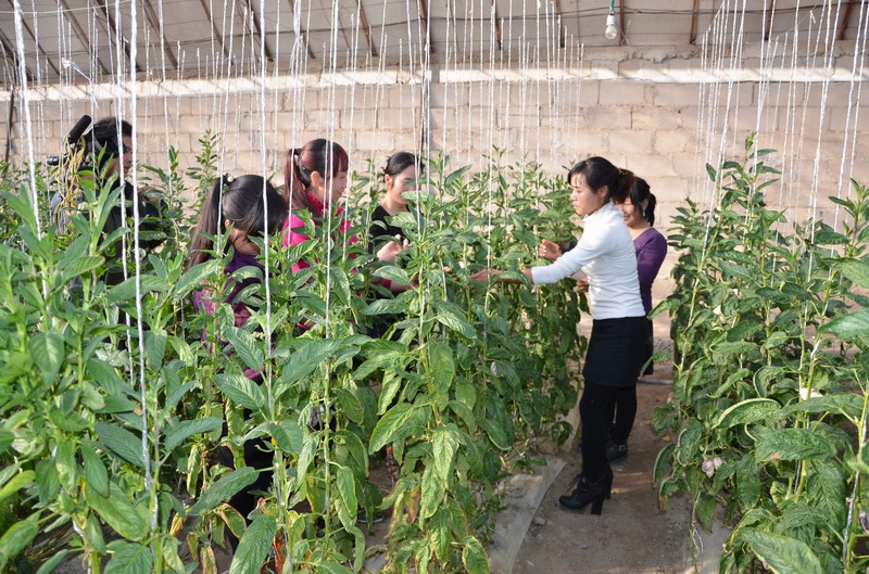 DSC_4343.JPG DSC_4343.JPG