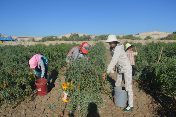 调整大小 QQ图片20160817112920.png