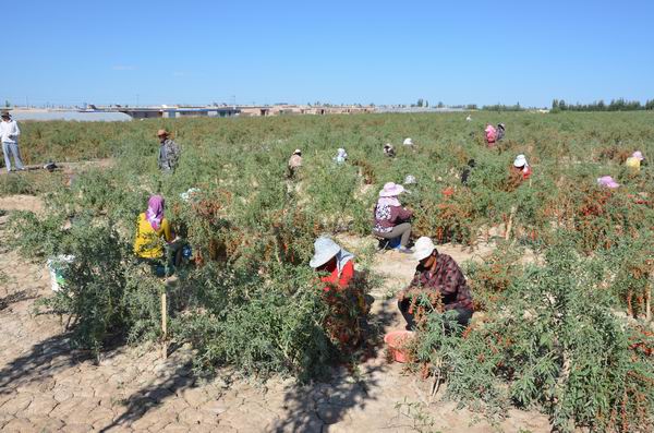 调整大小 DSC_7095.JPG