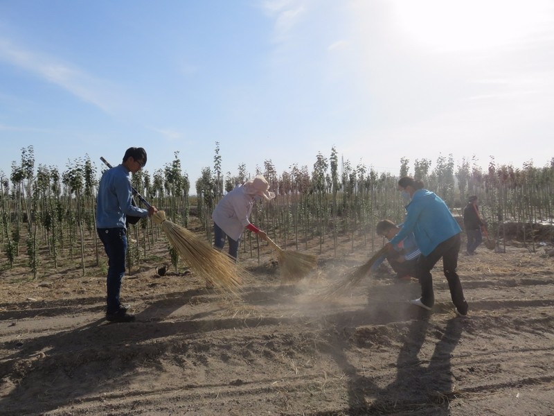 IMG_3587 - 万能看图王.JPG IMG_3587 - 万能看图王.JPG