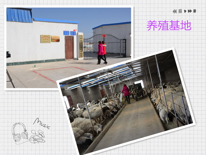 养殖基地.jpg
