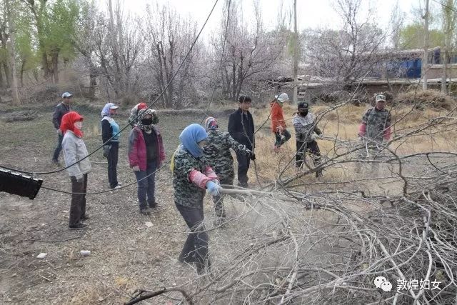 微信图片_20171120103100.jpg 微信图片_20171120103100.jpg