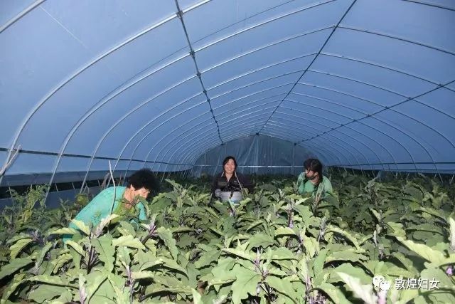 微信图片_20171120102916.jpg 微信图片_20171120102916.jpg