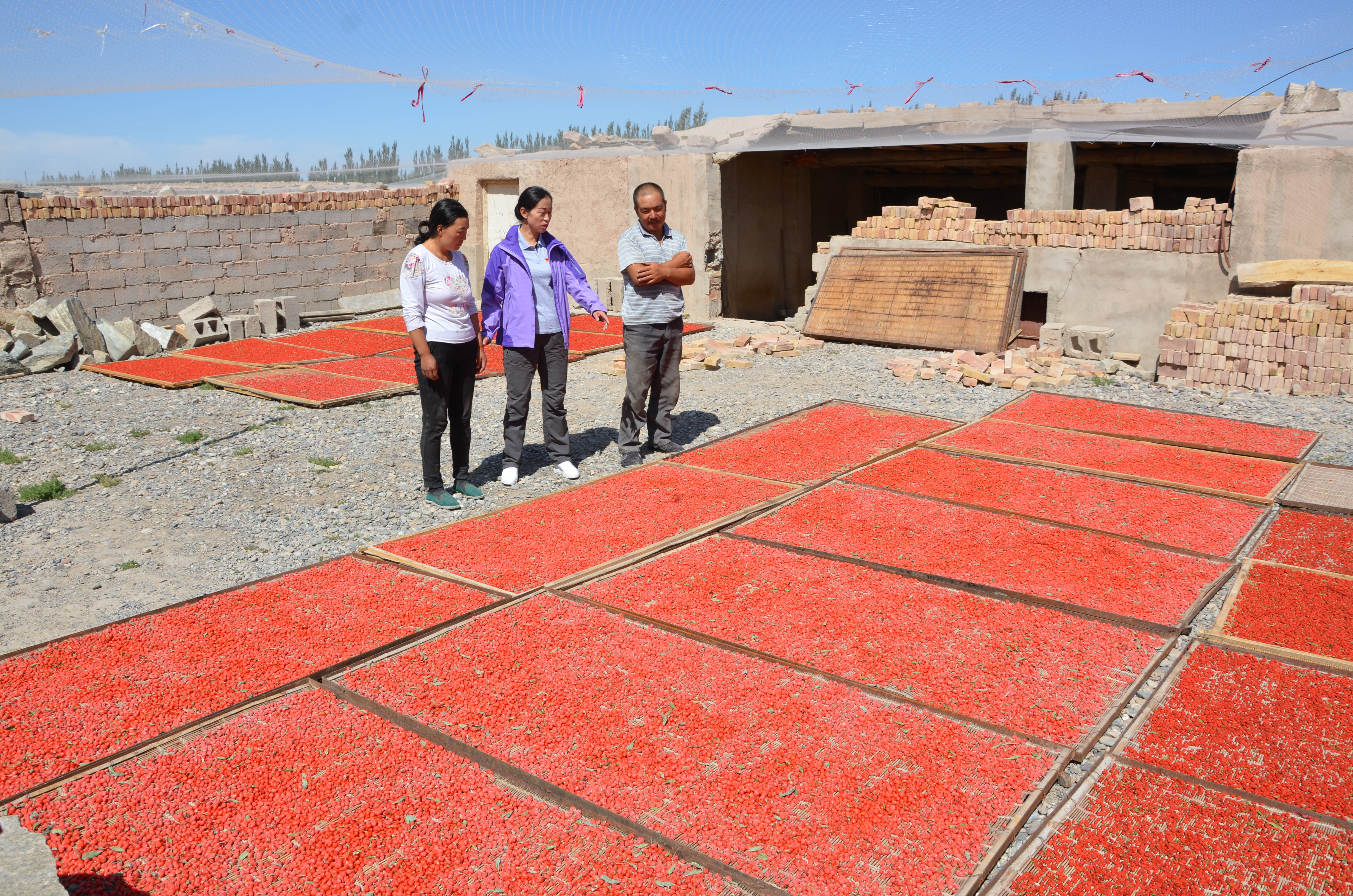 DSC_6766 - 万能看图王.JPG