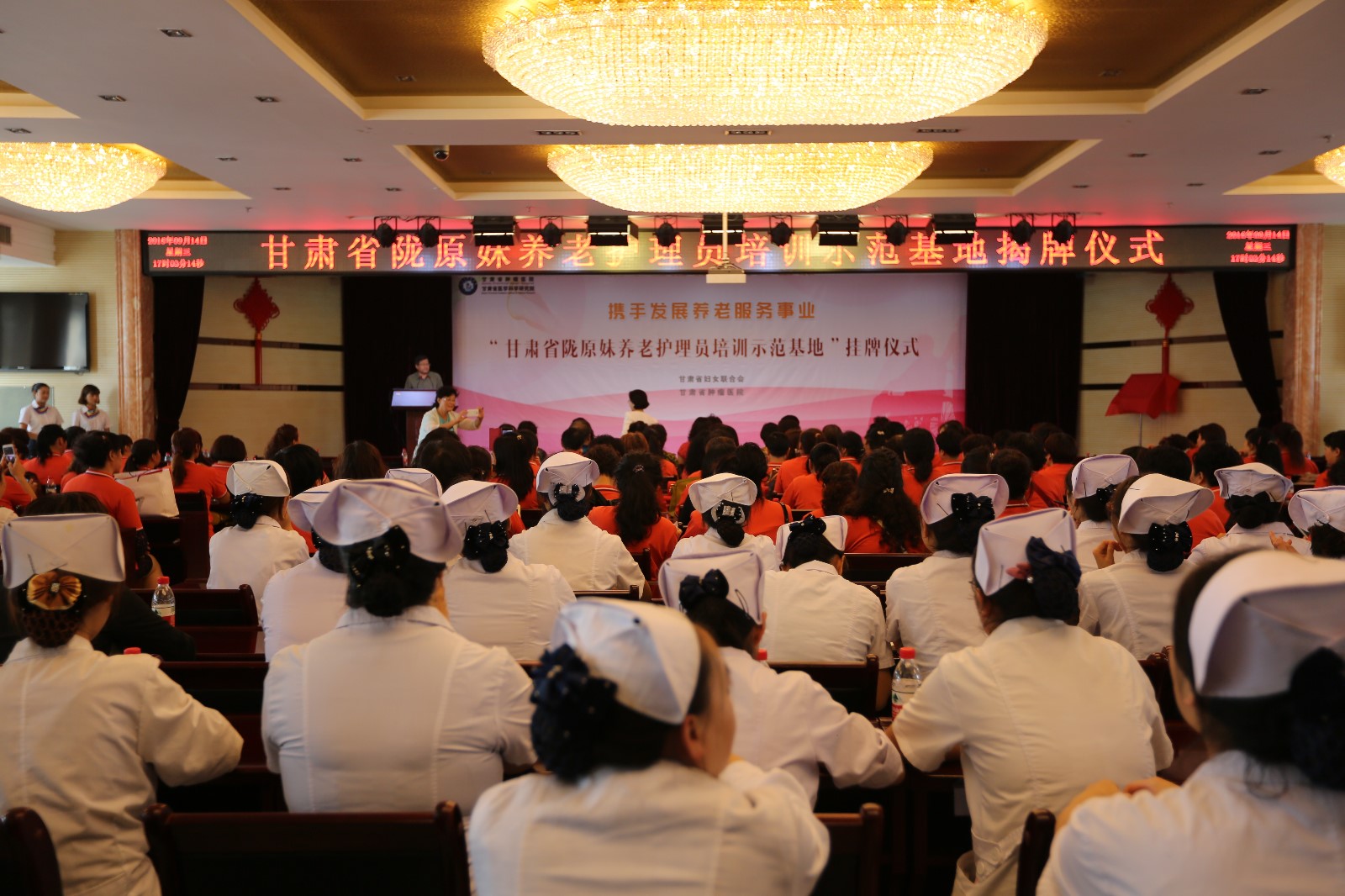 照片 331.JPG 照片 331.JPG