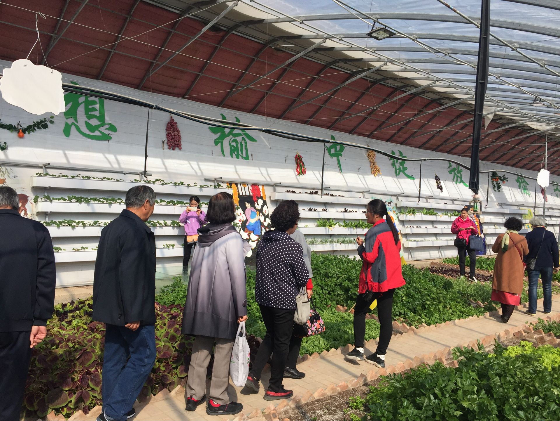 8E99B4C4CA1A23861AFE03A1E21D706E.jpg 8E99B4C4CA1A23861AFE03A1E21D706E.jpg